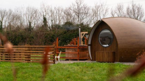 Luxury Glamping Pod